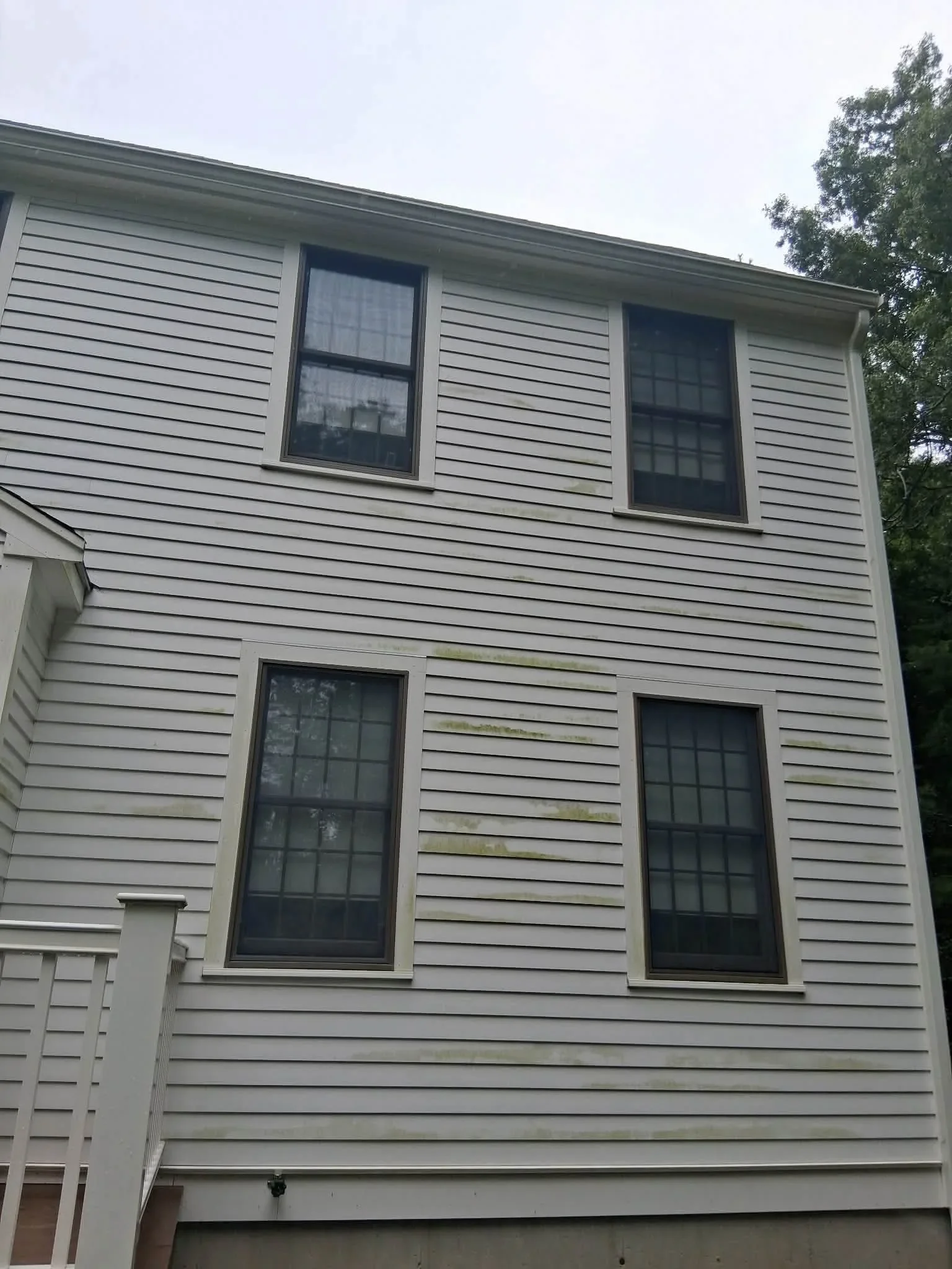 Clean vinyl siding on two-story home with dark windows after pressure washing service