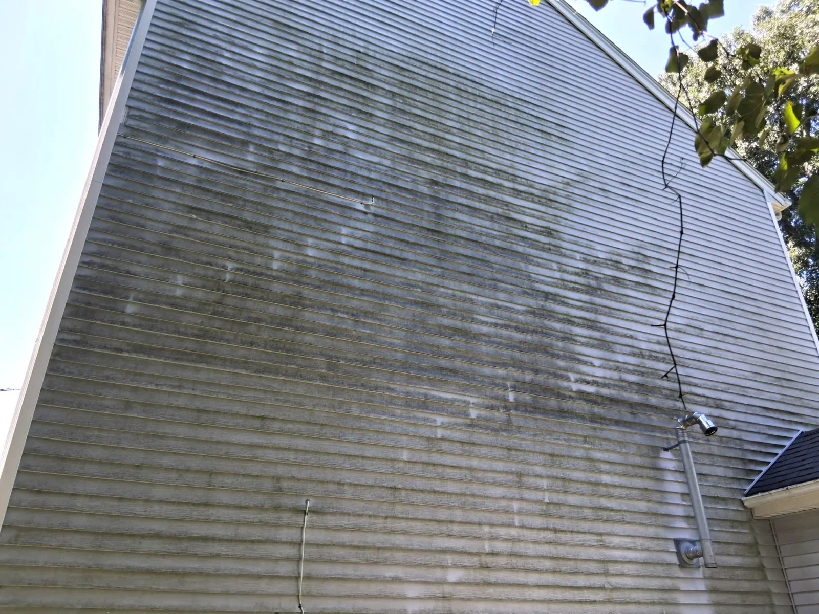 Cleaned vinyl siding on two-story residential home, algae and mildew removed